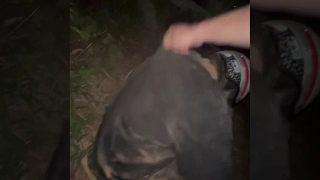 1000096573.mp4 смотреть онлайн