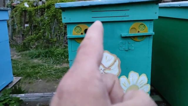 Потери тепла в гнезде, плёнка, потолочины и верхние летки. смотреть онлайн
