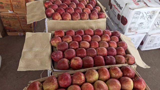 Today apple price in kothapet fruit market. Hyderabad 03-09-2021. смотреть онлайн