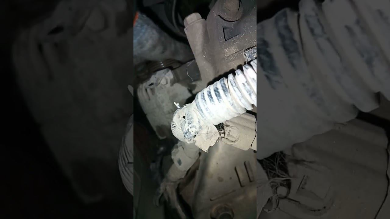 3 октября 2023 г. смотреть онлайн