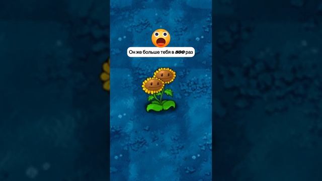 миниатюра №52 - растения против зомби #пвз #pvz #shorts смотреть онлайн