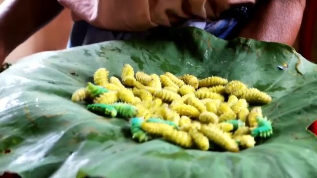 Breaking Food Stereotype | Eri Silkworm смотреть онлайн