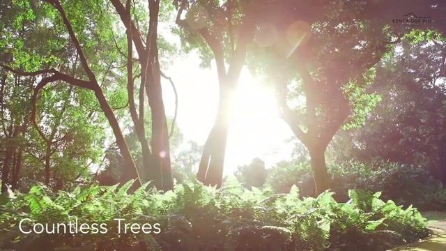 Kent Ridge Hill Residence смотреть онлайн