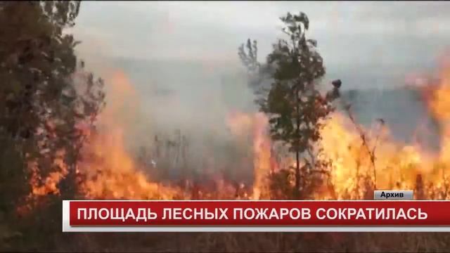 ПЛОЩАДЬ ЛЕСНЫХ ПОЖАРОВ СОКРАТИЛАСЬ смотреть онлайн