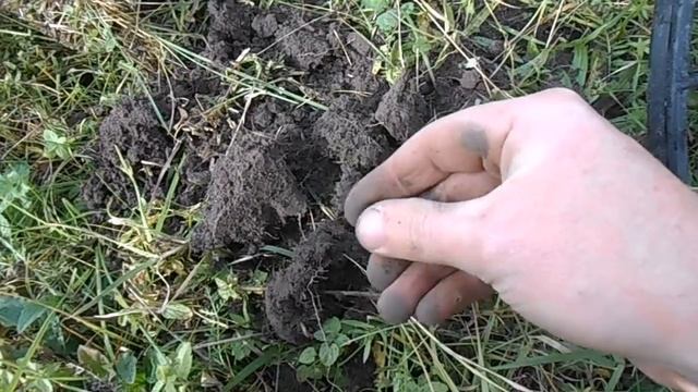 и снова на природу.......... НАША ВТОРАЯ ЖИЗНЬ \and again on nature .......... OUR SECOND LIFE смотреть онлайн