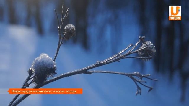 U news Инвалиды по зрению совершили 50-километровый лыжный поход смотреть онлайн