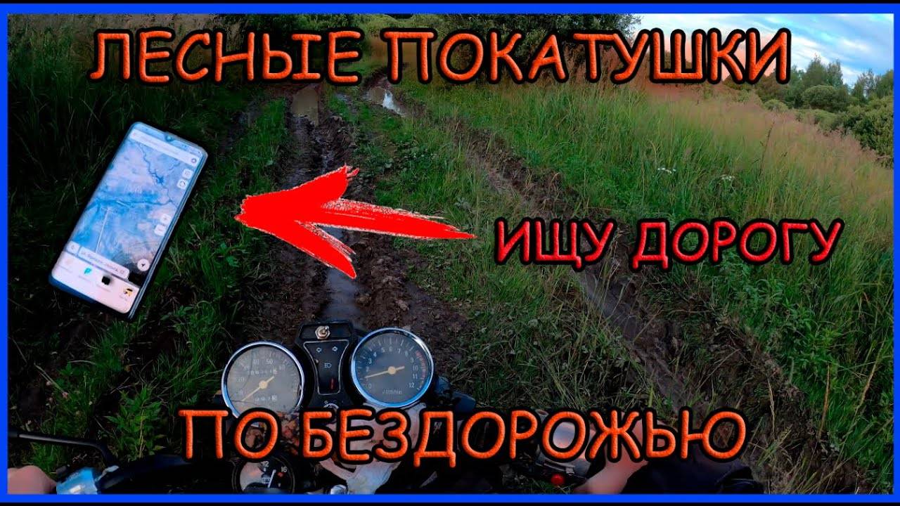 Лесные покатушки на мопеде альфа через болотистые места смотреть онлайн