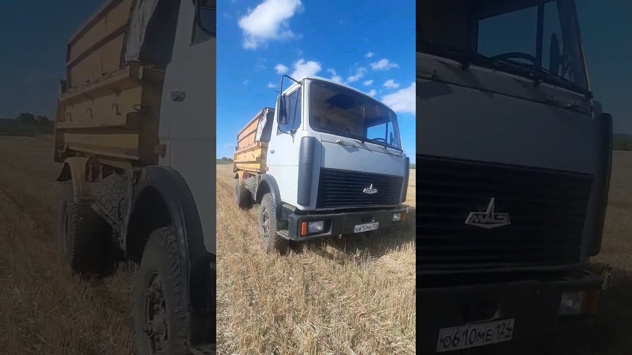 МАЗ-5551 смотреть онлайн