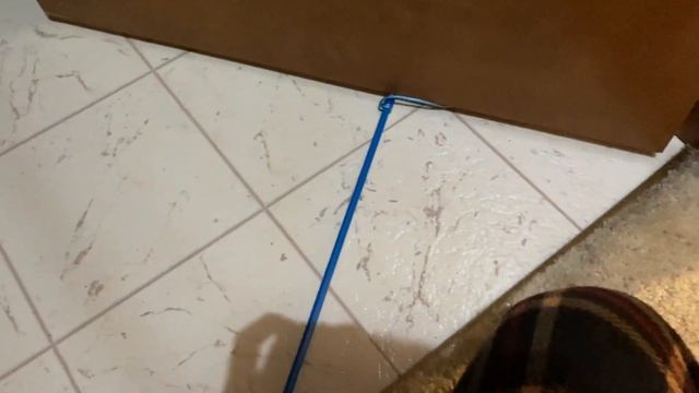 Wasting No Time For Playtime смотреть онлайн