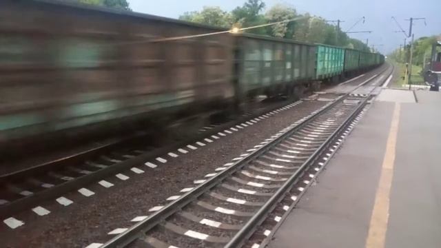 Мегашустрый Вл80т-1377 с четным грузовым поездом РЖД перегон Бровары-Бобрык пл.Парниковая смотреть онлайн