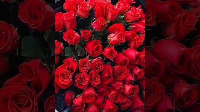 МИЛЛИОН АЛЫХ РОЗ... смотреть онлайн