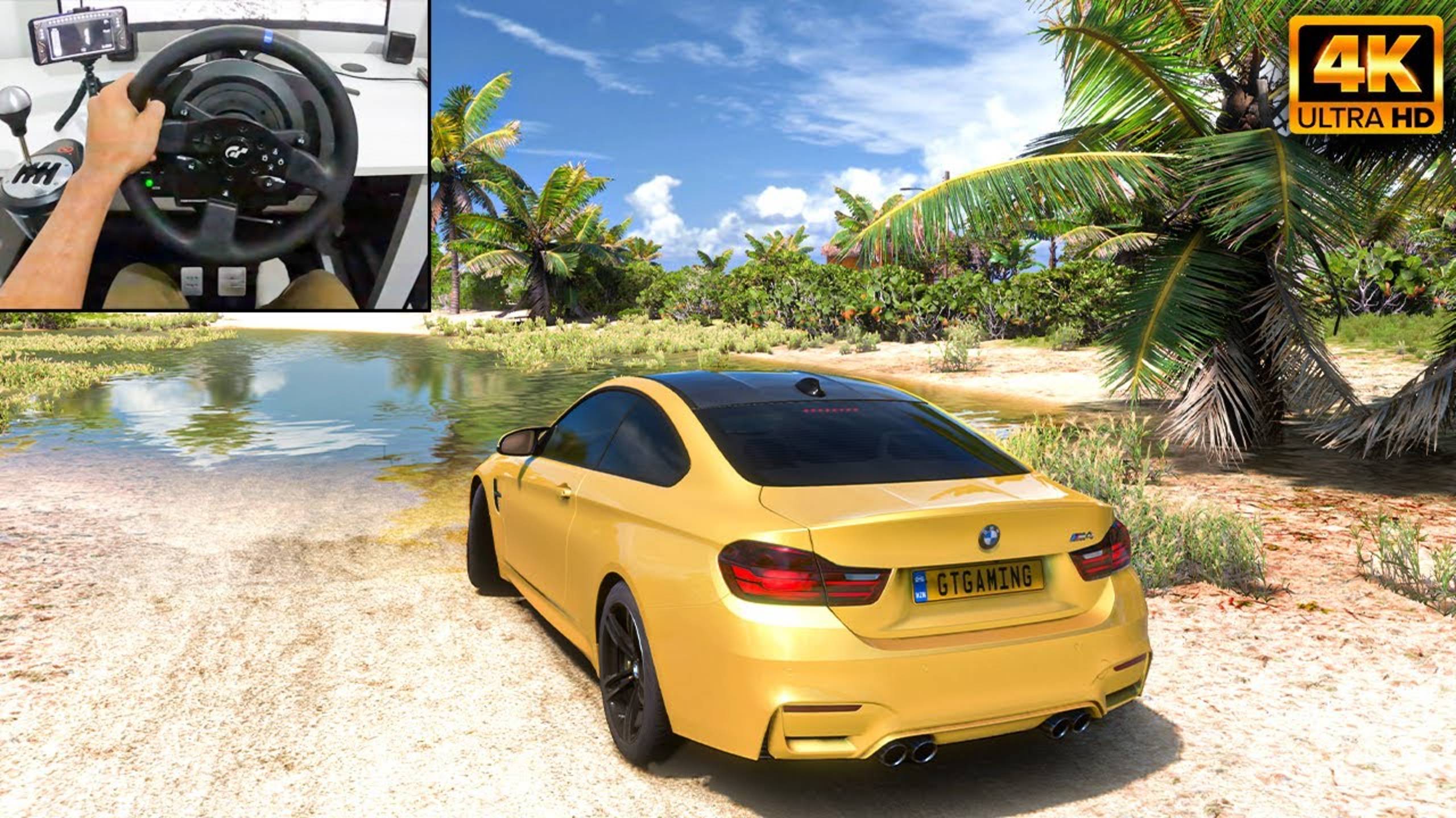 BMW M4 Coupe 650HP ｜ Forza Horizon 5 ｜ Thrustmaster T300RS Gameplay