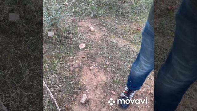 Garrett Axiom dedektör grup para testi смотреть онлайн