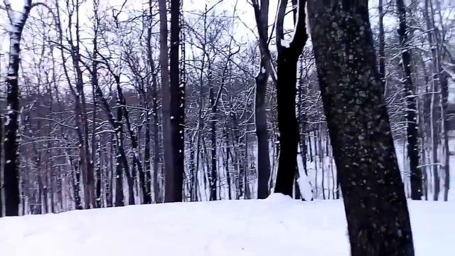 После заката смотреть онлайн
