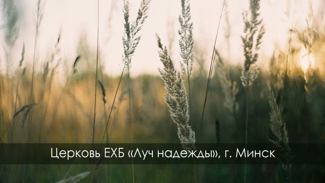 Канатуш В.В. - И как не имело корня, засохло смотреть онлайн