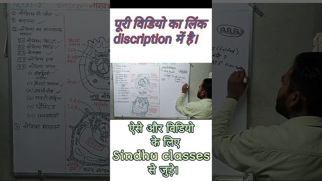 माइटोकांड्रिया #cell смотреть онлайн