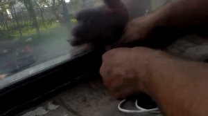 Установка лобового или заднего стекла на ВАЗ «Классика»: пошаговое руководство.