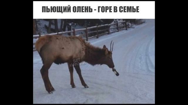 Лютые приколы ЛОГИКА В ГТА 5 угарные мемы смотреть онлайн