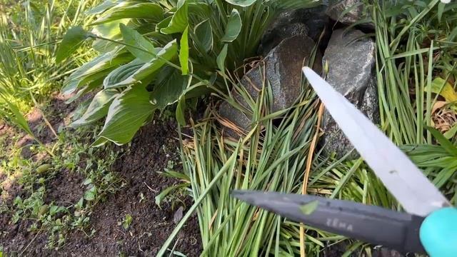 Муж оставил меня одну в саду... В Челябинске +40 !!! видео за 2023 год смотреть онлайн