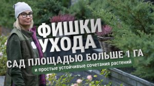 Сад площадью 1га. Фишки ухода и простые сочетания растений.