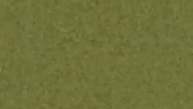 (REQUESTED) Islam Izoev Csupo Effects смотреть онлайн