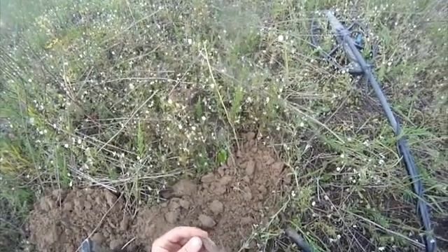 Рівненська обл. коп 34 з Вікінгом по хуторах. смотреть онлайн
