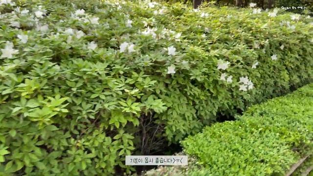 V-LOG 32화 ✌함성과 함께하는 성규콘 올콘러 4월 인스피릿 브이로그 🤳 [덕질하기 좋은 새벽1시] #성규 #LV #생일이벤트 #SAVIOR #앨범리뷰 #동우 #또오해영 смотреть онлайн