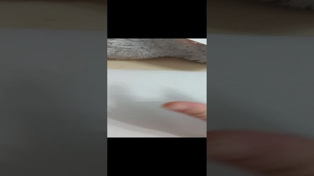 рисуем тетрадь 2 часть следует смотреть онлайн