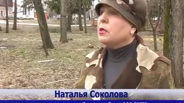 11-04-12-mesyachnik-blagoustrojstva.flv смотреть онлайн