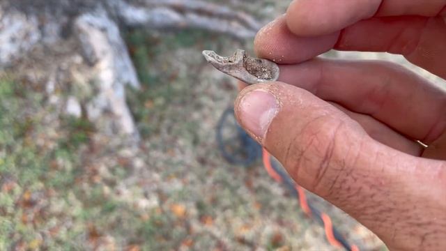 Midtone Monday 4! Metal detecting | Treasure hunting | Nokta Makro | Simplex | Garrett | AT Max смотреть онлайн
