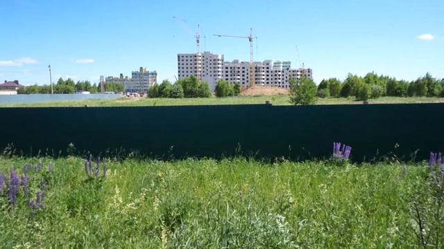 Прогулка по окраине Адотьино. Иваново, 28.06.2022 смотреть онлайн