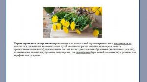 Все о новинках Биозан: Золотой Биофен и БиоDetox