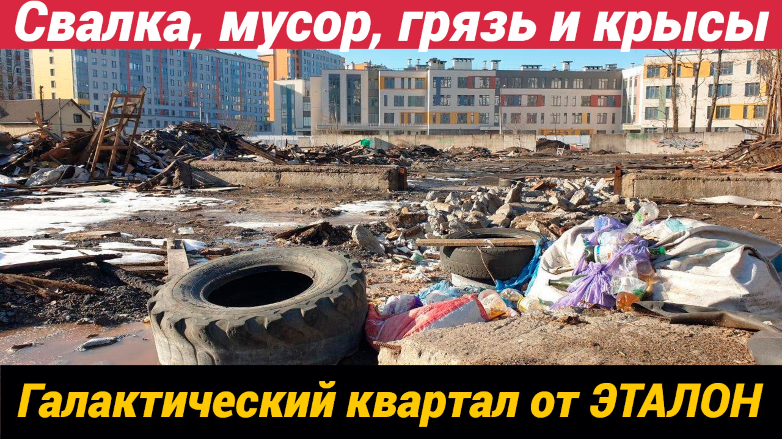 Свалка, мусор, грязь и крысы. Галактический квартал от ЭТАЛОН смотреть онлайн