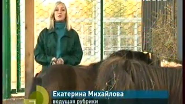 Утро на Енисее - Пони смотреть онлайн