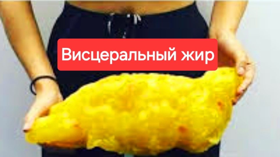 Внутренний жир.Висцеральный жир.Жир на внутренних органах. смотреть онлайн