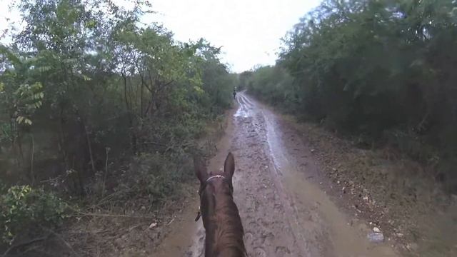 Cuba Trip February 2017 смотреть онлайн