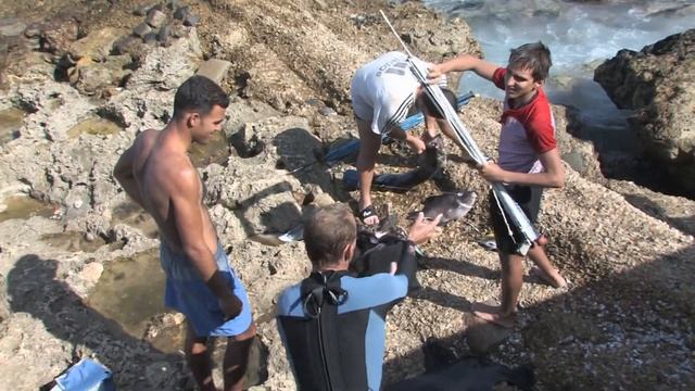 Cuba's Courageous Spearfisherman - and His Deadly Catch смотреть онлайн