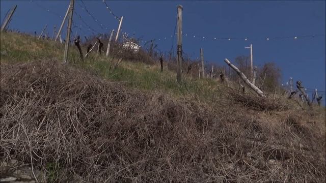 Naravoslovna pot Piramida, Maribor смотреть онлайн