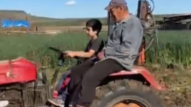 Раз картошка, два картошка. Часть вторая. смотреть онлайн