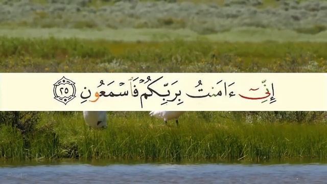 36 Yā-Sīn (Ya Sin) 20-30 Mahmoud Ashitani смотреть онлайн