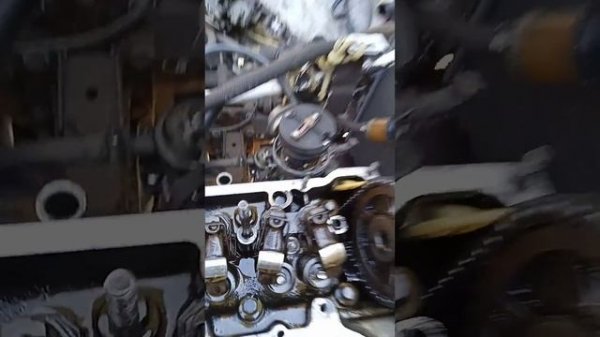 антифриз попадает в масло... поменял прокладку , а дело было в заглушках...