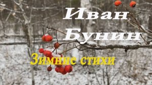 Иван Бунин - Стихи.Первый снег.Метель.На дальнем севере.Вьется путь в снегах...