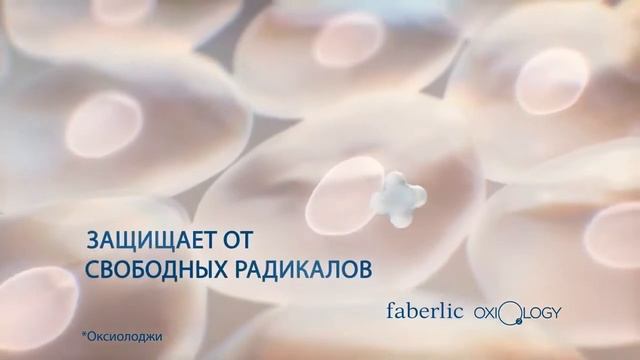 11 декабря 2019 г. смотреть онлайн