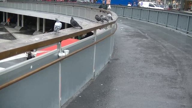 Стокгольм 30 5 2014 часть 14 к площади смотреть онлайн