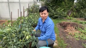 Каркасные грядки - КАЙФУЮ! Плюсы высоких каркасных грядок