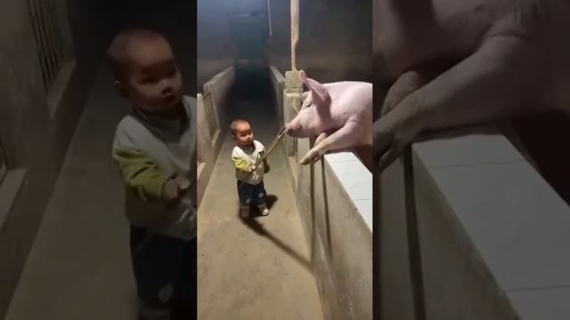 3297352541552651924 смотреть онлайн