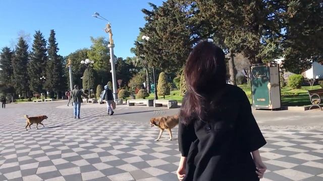 ХОЛОСТЯК ИЩЕТ ЛЮБОВЬ БАТУМИ ГРУЗИЯ смотреть онлайн