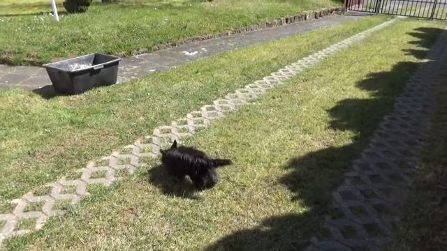 Суббота, а у нас работа! 🏚