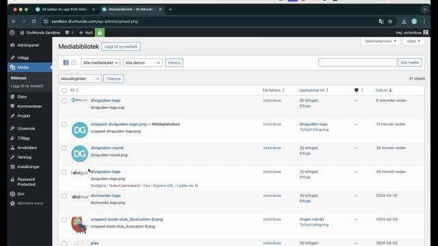 Så laddar du upp SVG-filer i WordPress смотреть онлайн