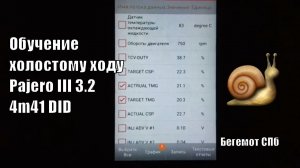 Обучение холостому ходу Mitsubishi Pajero III 3.2 4m41 DID VRZ дизель